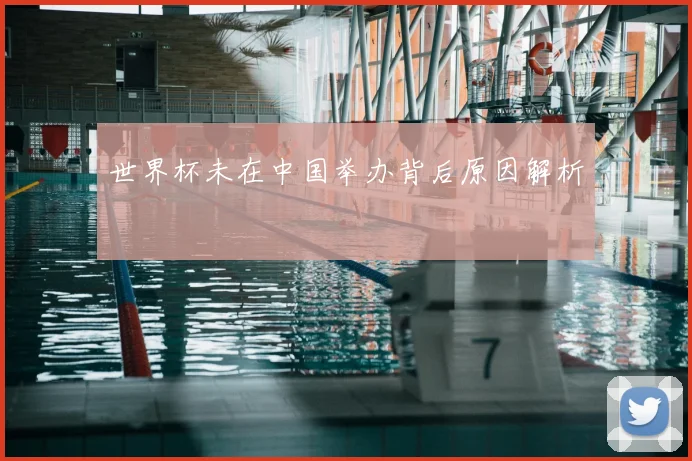 世界杯未在中国举办背后原因解析