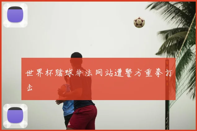 世界杯赌球非法网站遭警方重拳打击