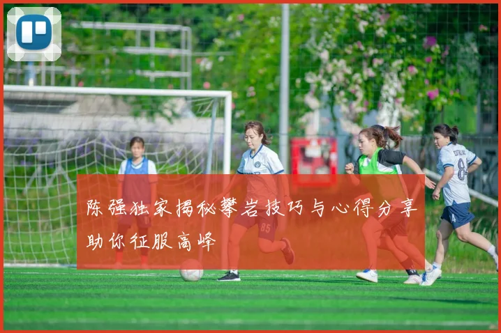 陈强独家揭秘攀岩技巧与心得分享助你征服高峰
