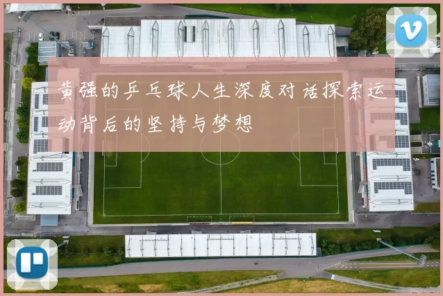 黄强的乒乓球人生深度对话探索运动背后的坚持与梦想