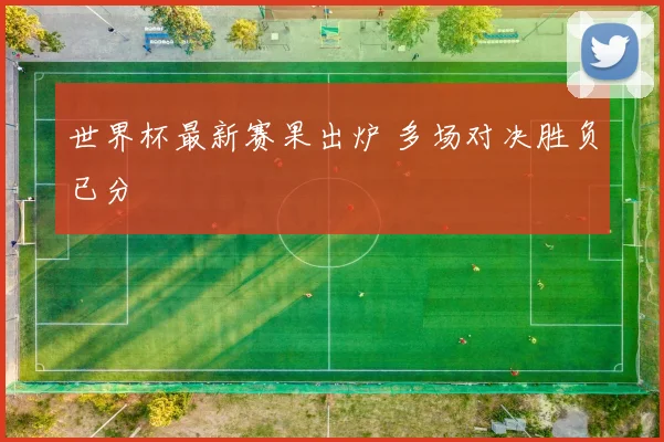 世界杯最新赛果出炉 多场对决胜负已分