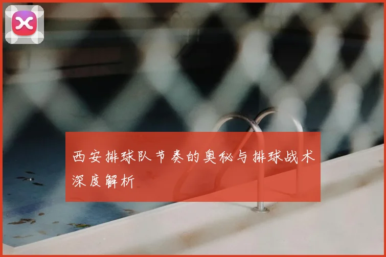 西安排球队节奏的奥秘与排球战术深度解析