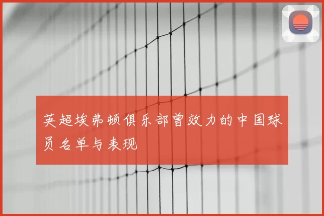 英超埃弗顿俱乐部曾效力的中国球员名单与表现
