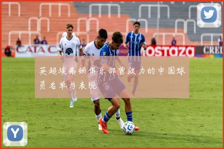 英超埃弗顿俱乐部曾效力的中国球员名单与表现