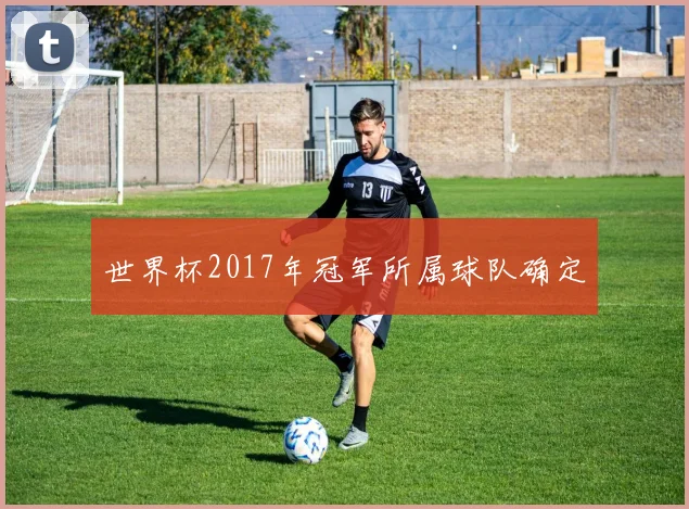 世界杯2017年冠军所属球队确定