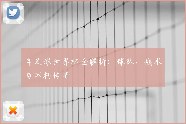 年足球世界杯全解析：球队、战术与不朽传奇