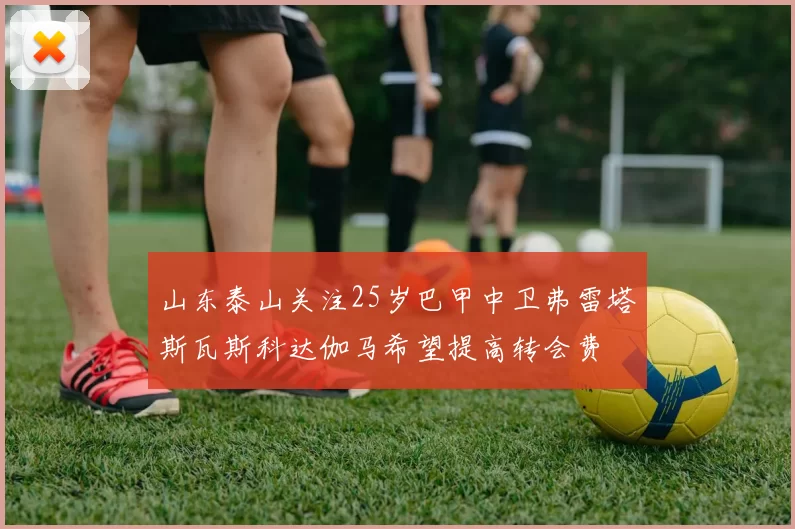 山东泰山关注25岁巴甲中卫弗雷塔斯瓦斯科达伽马希望提高转会费