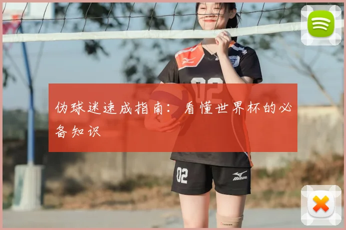 伪球迷速成指南:看懂世界杯的必备知识