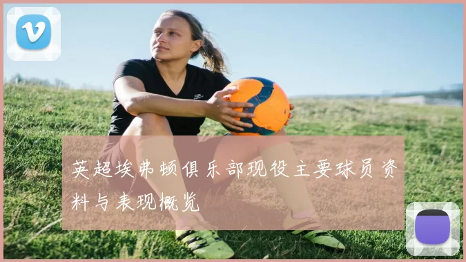 英超埃弗顿俱乐部现役主要球员资料与表现概览