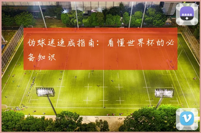 伪球迷速成指南：看懂世界杯的必备知识