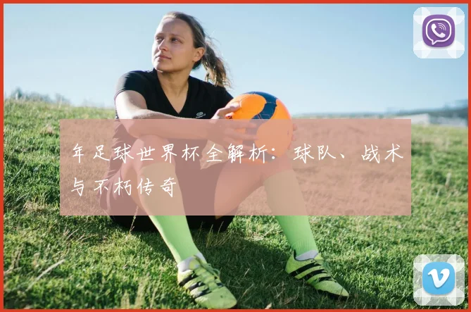 年足球世界杯全解析：球队、战术与不朽传奇