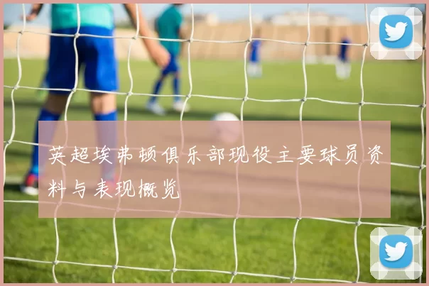 英超埃弗顿俱乐部现役主要球员资料与表现概览