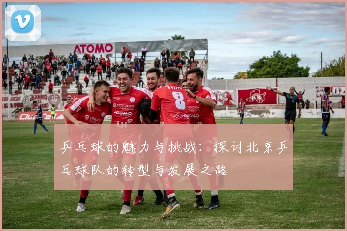乒乓球的魅力与挑战:探讨北京乒乓球队的转型与发展之路