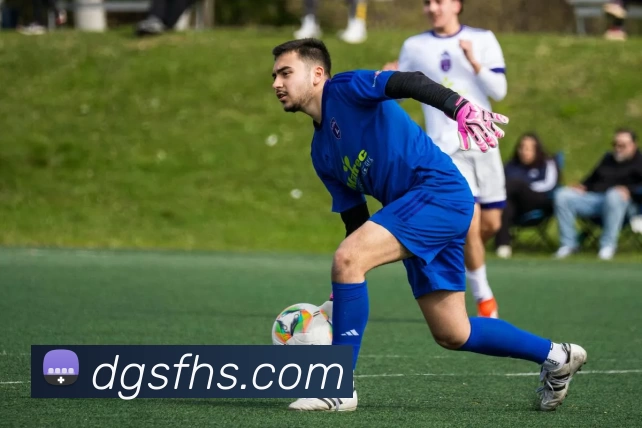 App Interface Preview